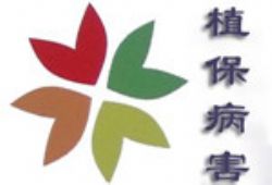 蔬菜沖施肥專(zhuān)家:大棚黃瓜霜霉病發(fā)病原因及防治方法 蔬菜沖施肥專(zhuān)家:大棚黃瓜霜霉病發(fā)病原因及防治方法